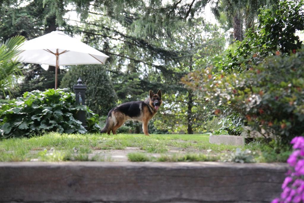 B&B Casa Carla Pinerolo Kültér fotó